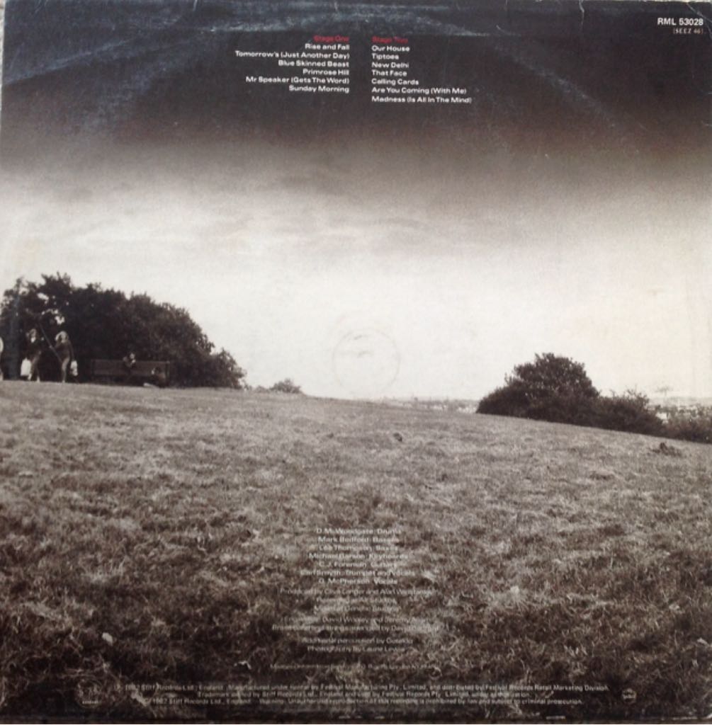 The Rise & Fall - Madness (12”) music collectible - Main Image 2