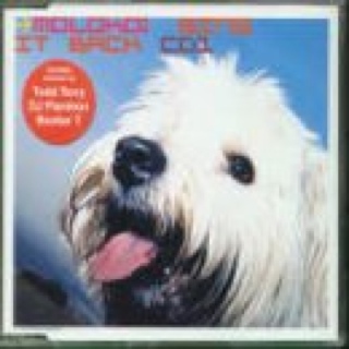 Present A Guide To Love, Loss & Desperation (2 CD)