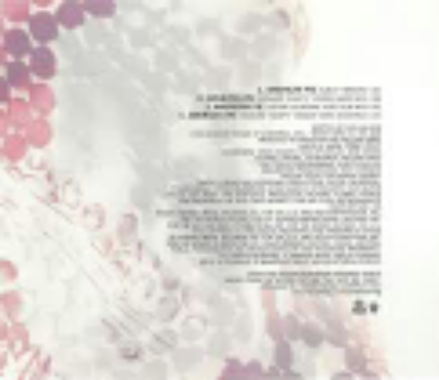 American pie - Madonna (CD - 20.40) music collectible [Barcode 093624483724] - Main Image 2