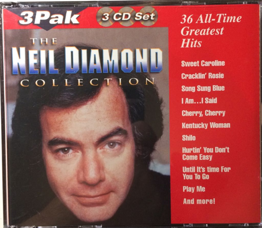 Blondie Is The Name Of The Band