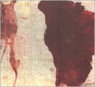 Florence And The Machine Lungs