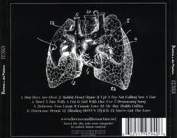Lungs - Florence + The Machine (12”) music collectible [Barcode 602527112398] - Main Image 2