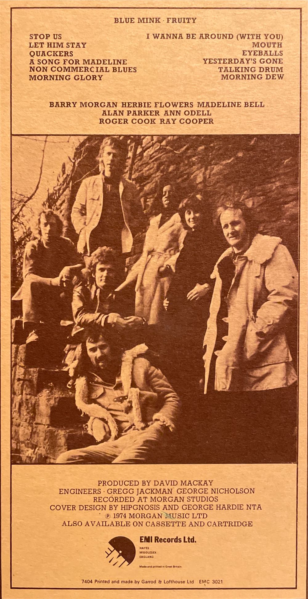 Fruity - Blue Mink (12”) music collectible - Main Image 3