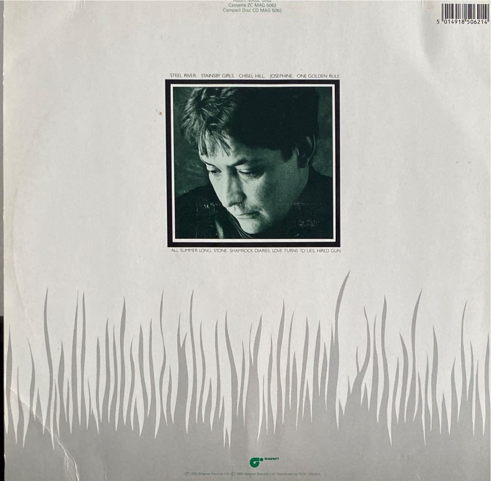 Shamrock Diaries - Rea, Chris (12”) music collectible - Main Image 2