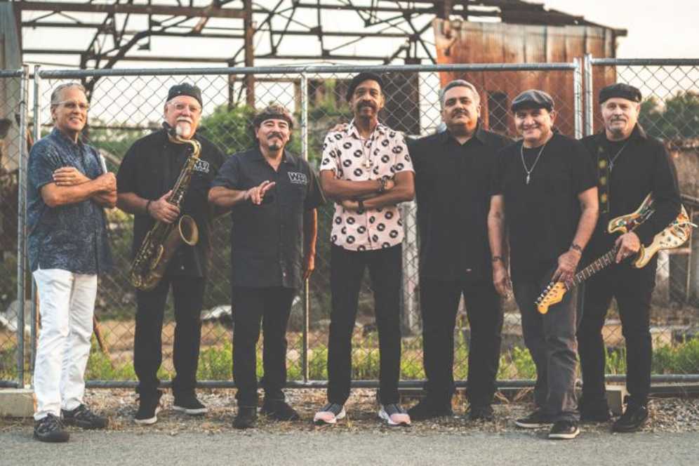 War The Hits - War (CD - 52) music collectible - Main Image 4