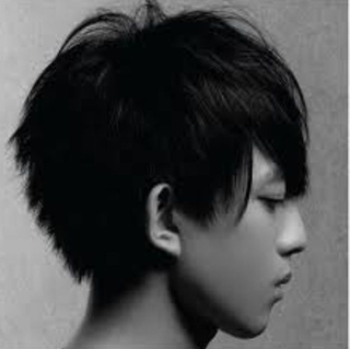 Tea For The Tillerman