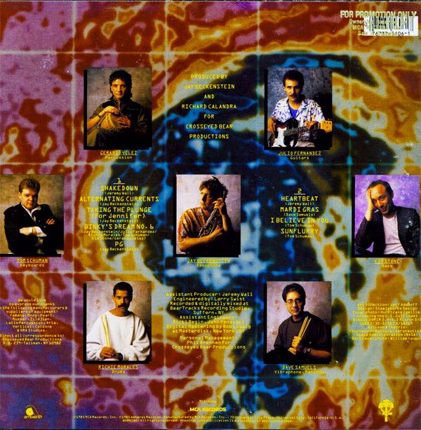 Alternating Currents - Spyro Gyra (12” - 44) music collectible - Main Image 2