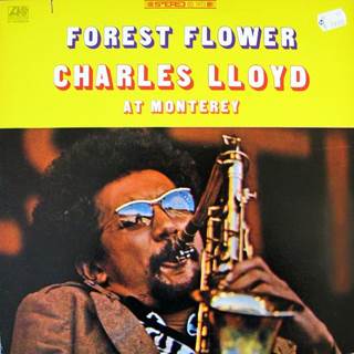 The Weight Of The World