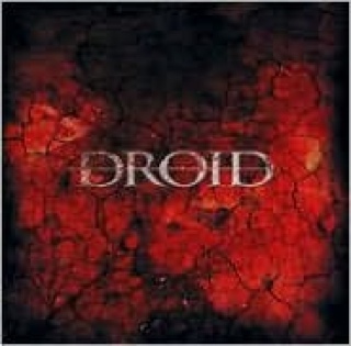 Street Talk/For the Love of Strange Medicine