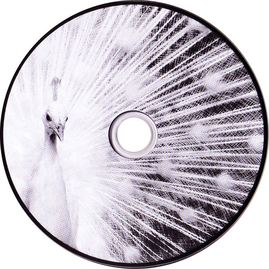 Blunderbuss - Jack White (12” - 42) music collectible [Barcode 886919599329] - Main Image 4
