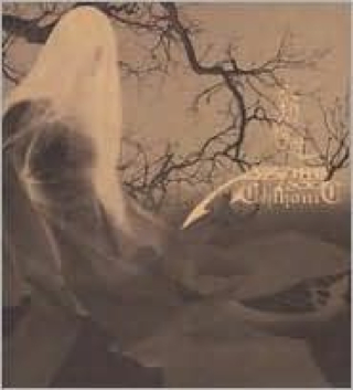 The Cage Of Existence