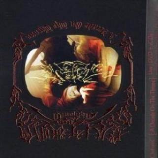 Sounds Of The Animal Kingdom