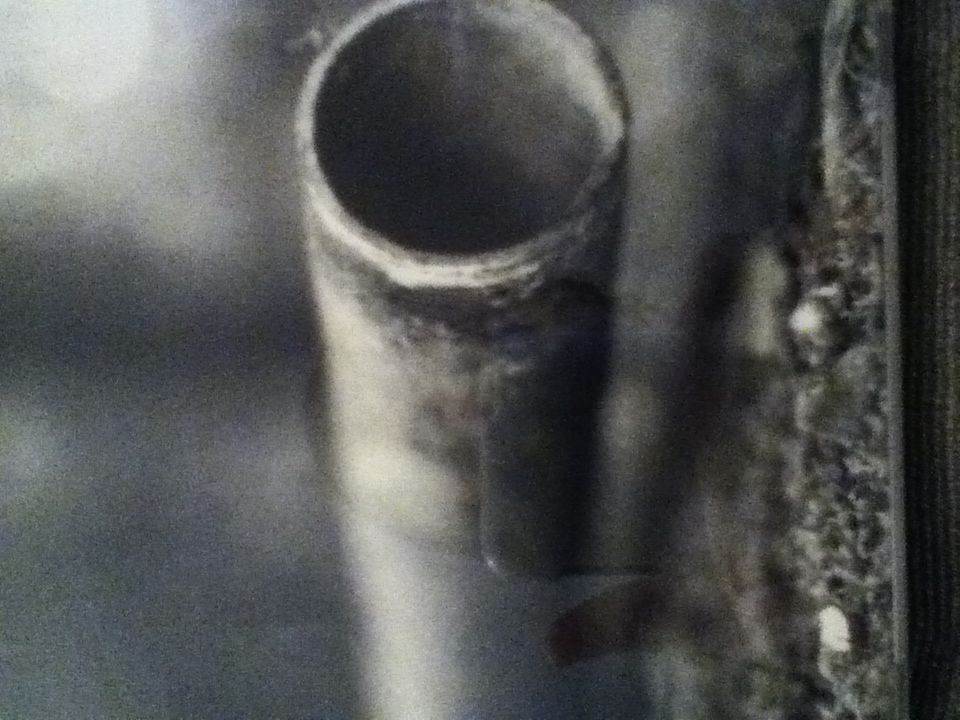 Losers, Kings, and Things We Don’t Understand