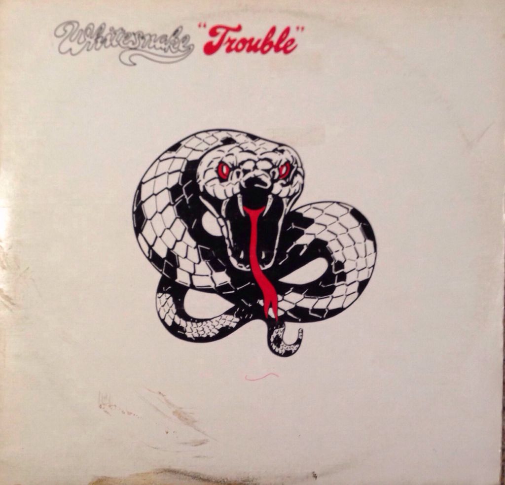 Chuck Berry Rock'n'roll Legend