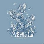 Ill Never Stop Loving You 