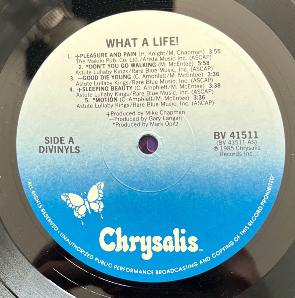 What A Life! - Divinyls (12”) music collectible - Main Image 3