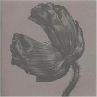 Release - Pet Shop Boys (CD - 4500) music collectible [Barcode 724353815028] - Main Image 1