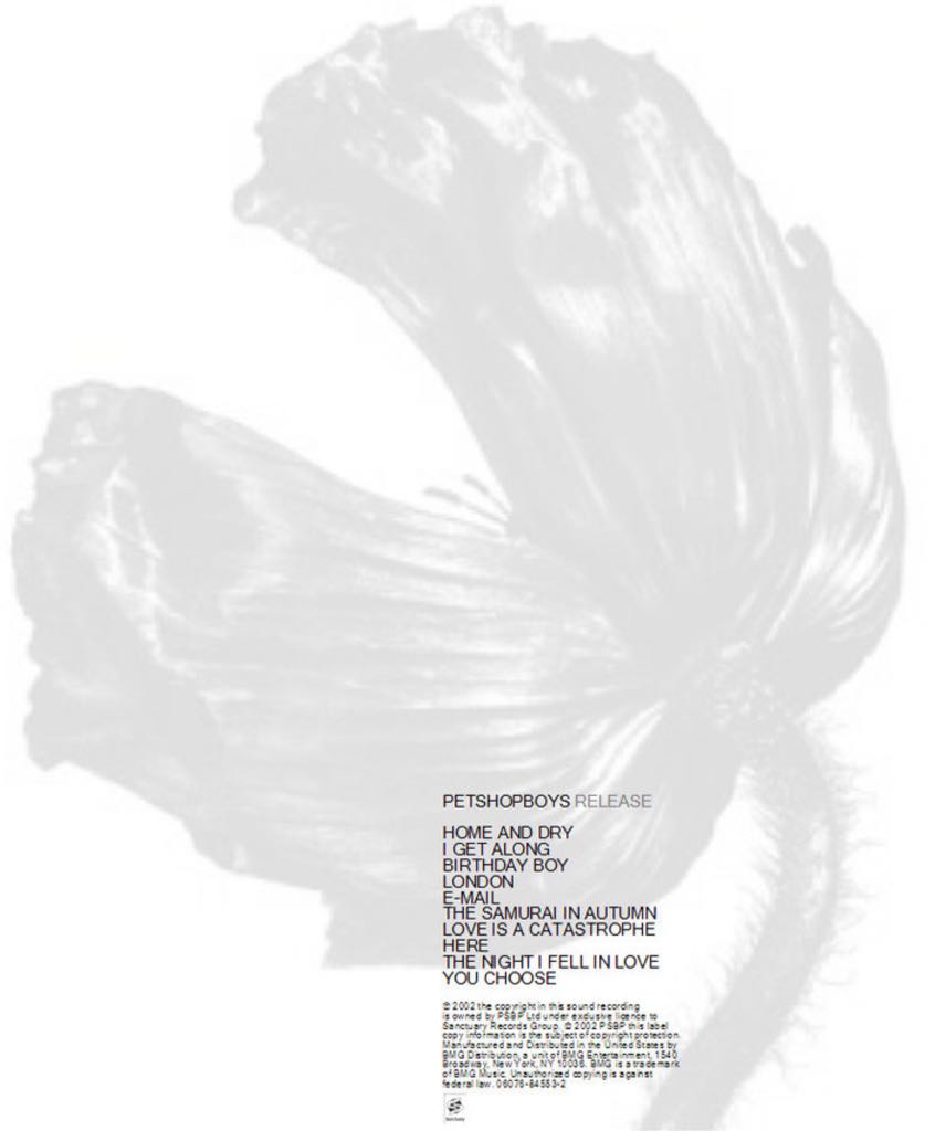 Release - Pet Shop Boys (CD - 4500) music collectible [Barcode 724353815028] - Main Image 2