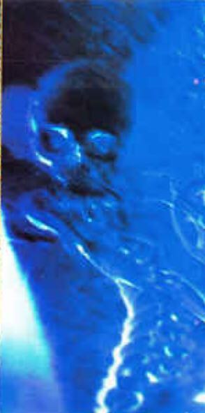 best of the best best of the best