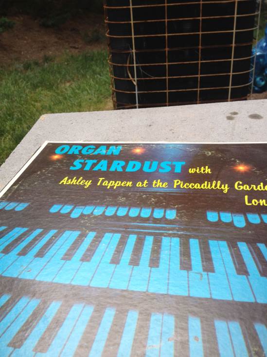 The Low Spark Of High Heeled Boys