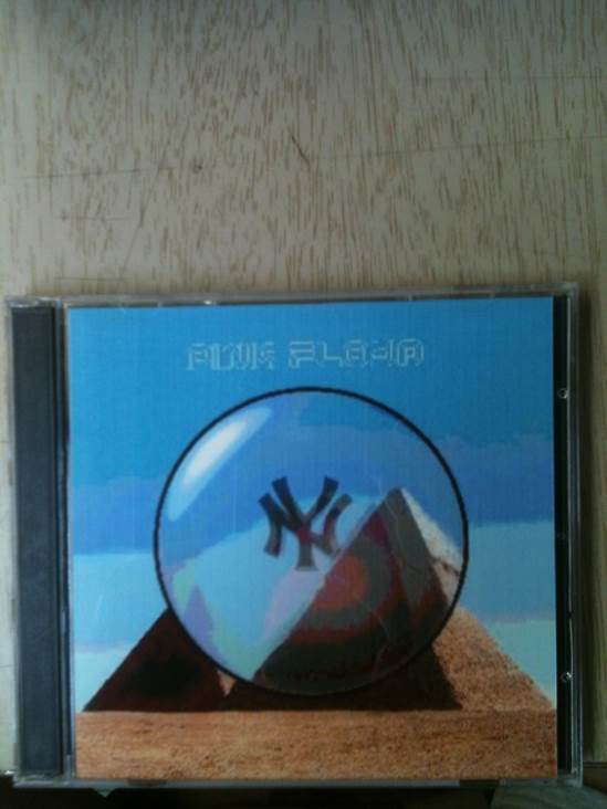 N.Y. 1994 - Pink Floyd (CD) music collectible - Main Image 1