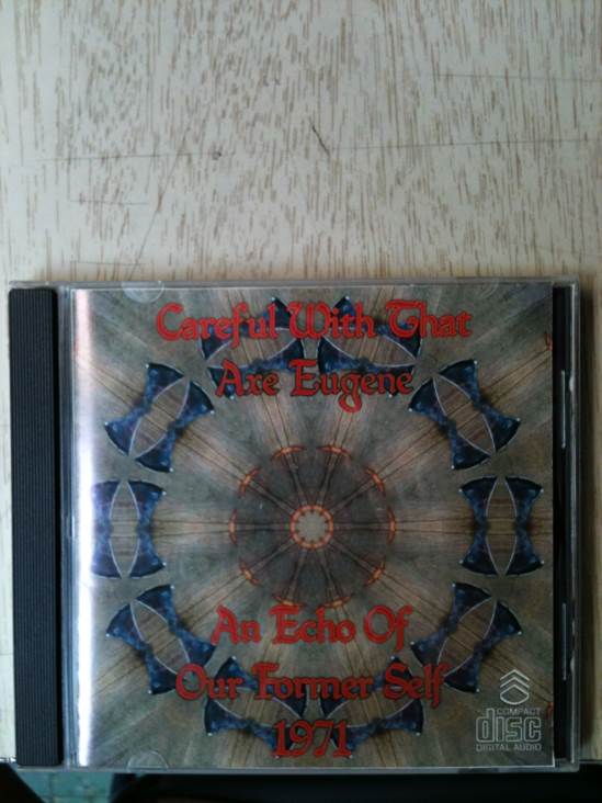 Pink Panthers Penthouse Party