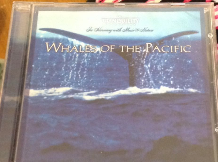 No Rest for the Wicked