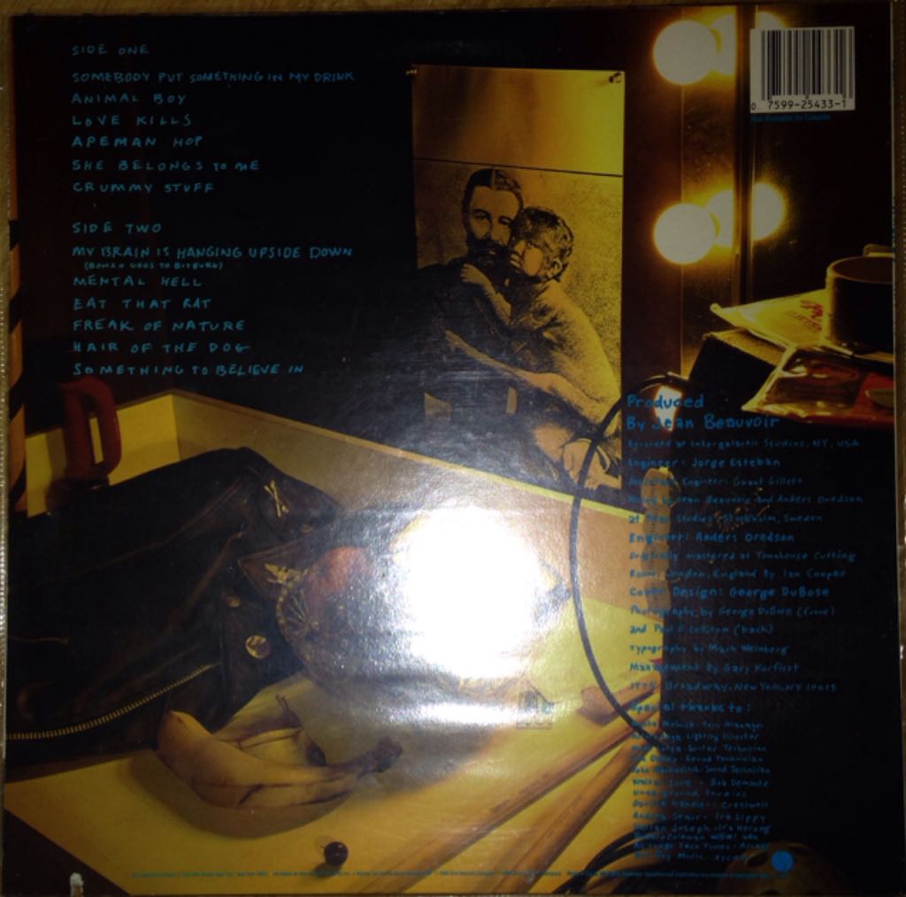 Animal Boy - Ramones (12” - 32) music collectible [Barcode 075992543316] - Main Image 2