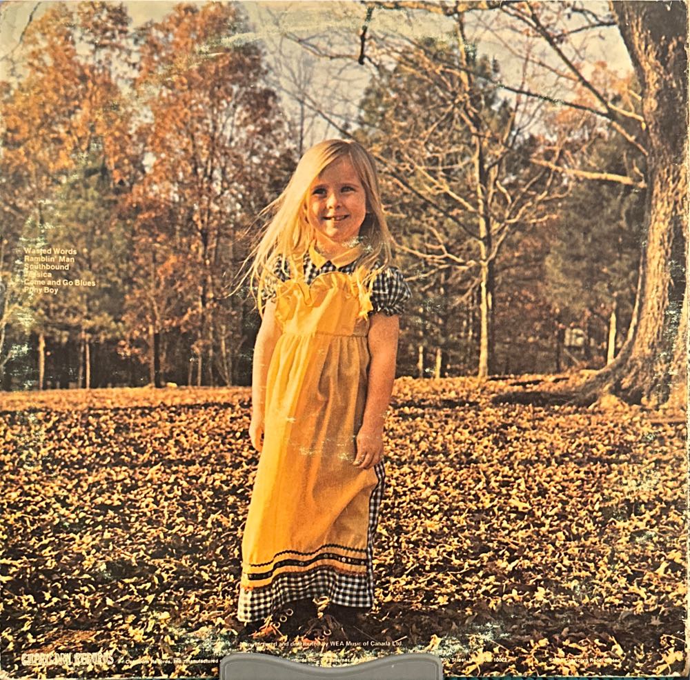 Brothers And Sisters - Allman Brothers Band, The (12”) music collectible - Main Image 2