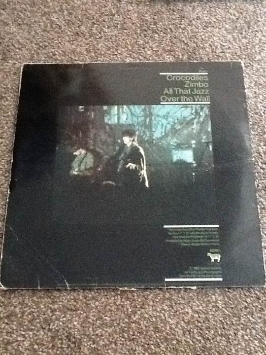 Shine So Hard - Echo And The Bunnymen (12”) music collectible - Main Image 2