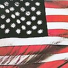 Golden Age of Country, Vol. 6: Hillbilly Heaven (MP3)