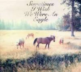 Sometimes I Wish We Were An Eagle - Callahan, Bill (12”) music collectible [Barcode 0781484038528] - Main Image 1