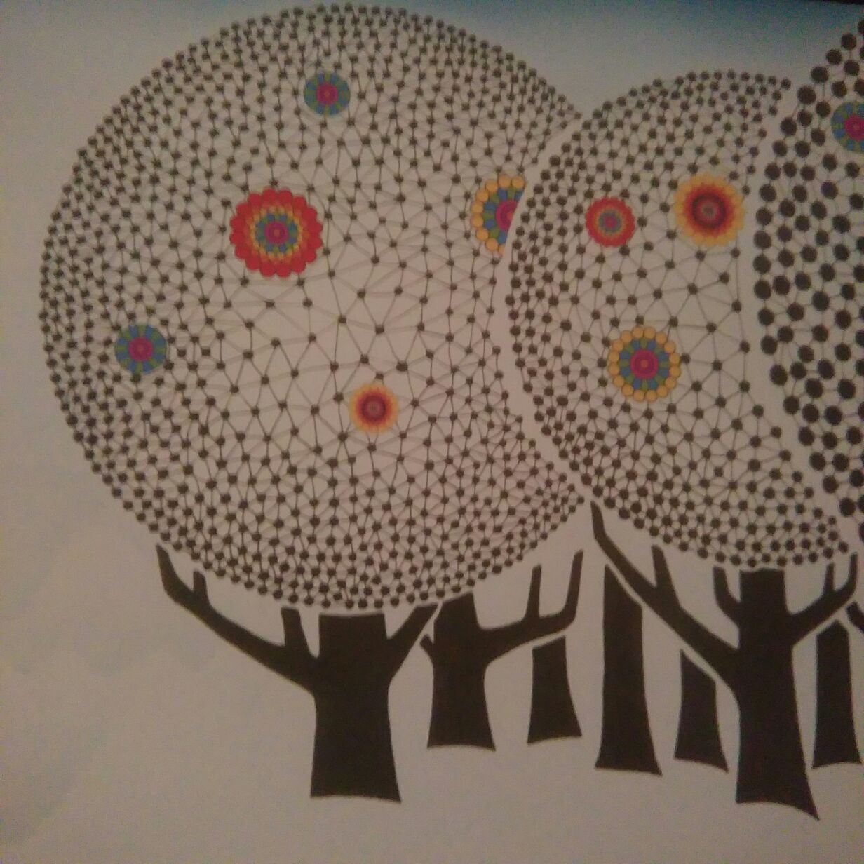 The Wedding - Oneida (12”) music collectible [Barcode 5050159823116] - Main Image 2