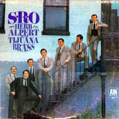 Little Immaculate White Fox