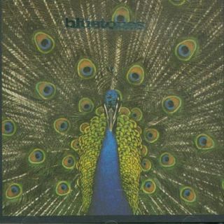 1982 In the Mood for Something Rude