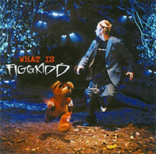 What Is Figgkidd? - Figgkidd (CD) music collectible [Barcode 9399700127225] - Main Image 1