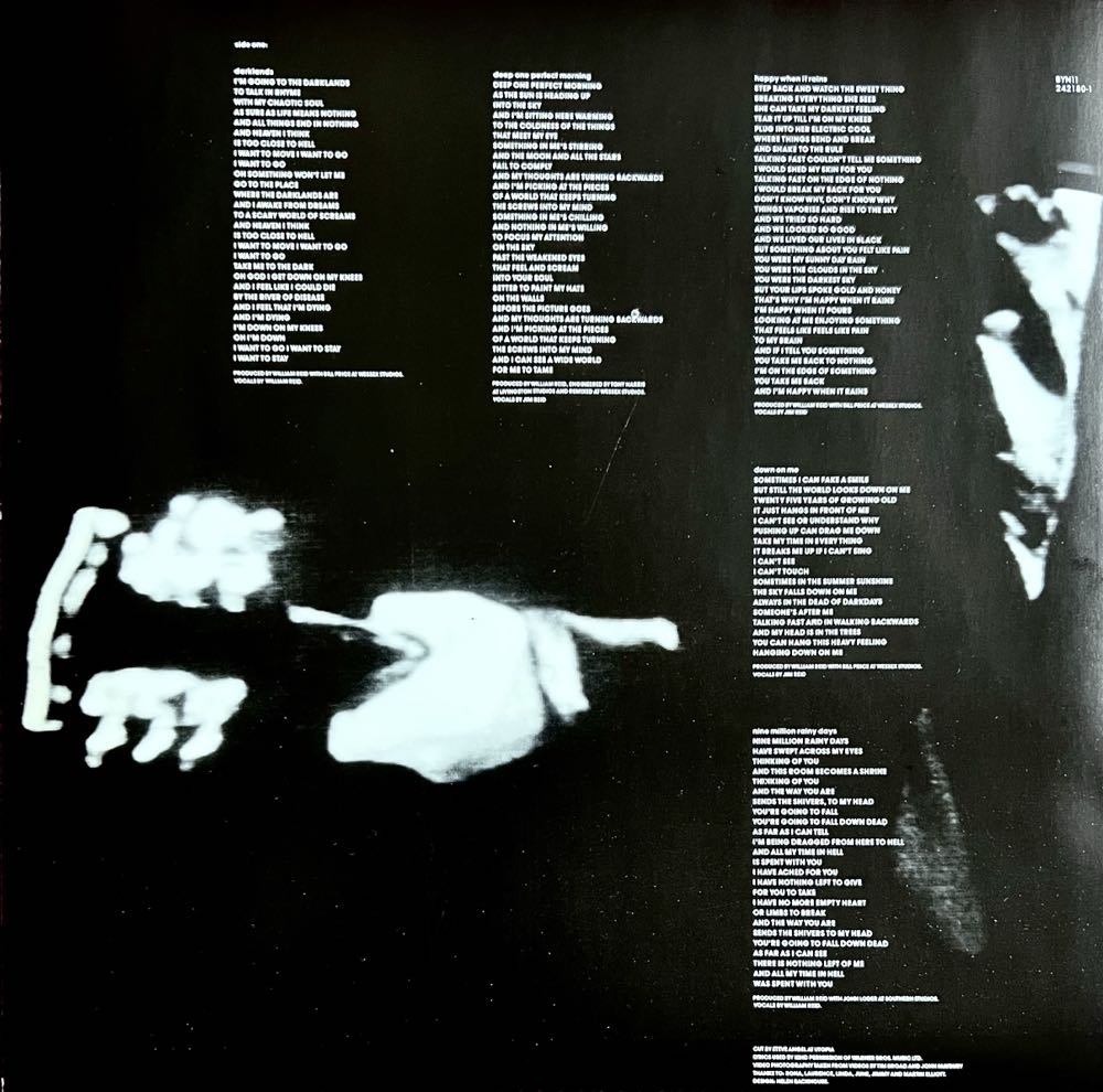 Darklands - Jesus And Mary Chain, The (12” - 40) music collectible [Barcode 022924218019] - Main Image 3