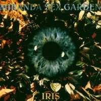 Extraordinary Machine