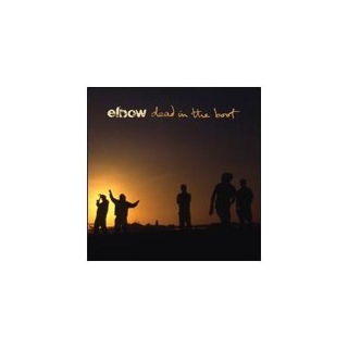 Life In A Beautiful Light