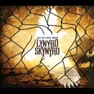 Jann Arden - Love Is the Only Soldier