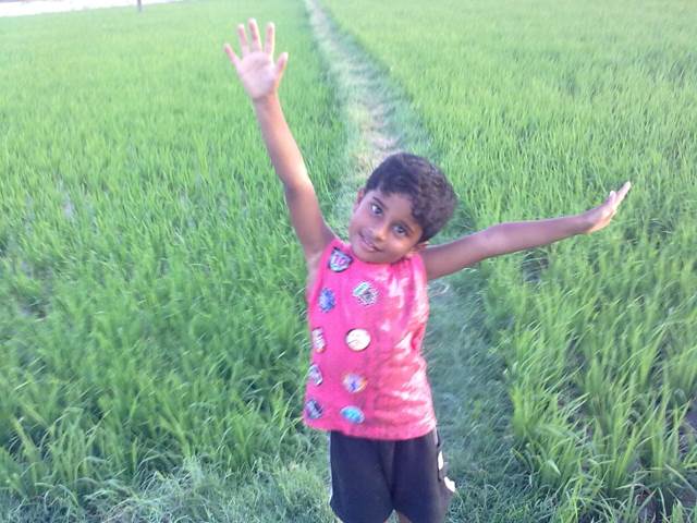 Mano - A (12”) music collectible - Main Image 2