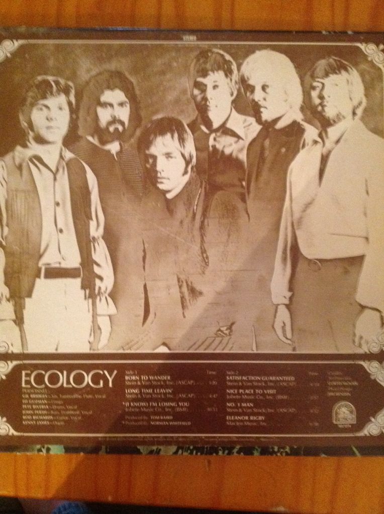 Ecology - Rare Earth (12” - 38,45) music collectible - Main Image 2