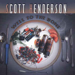 Well To The Bone - Scott Henderson (CD) music collectible [Barcode 026245204522] - Main Image 1