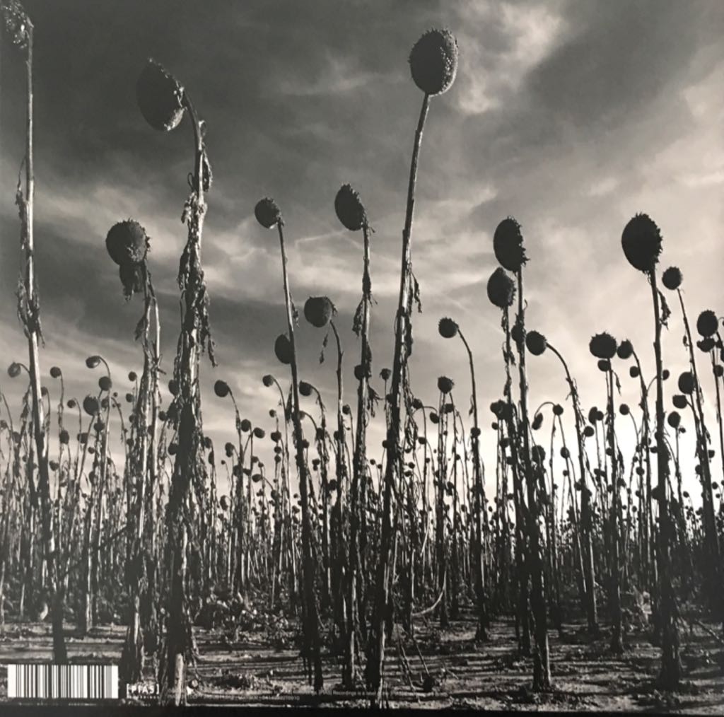 Anastasis (green vinyl) - Dead Can Dance (12”) music collectible [Barcode 5414939276910] - Main Image 2