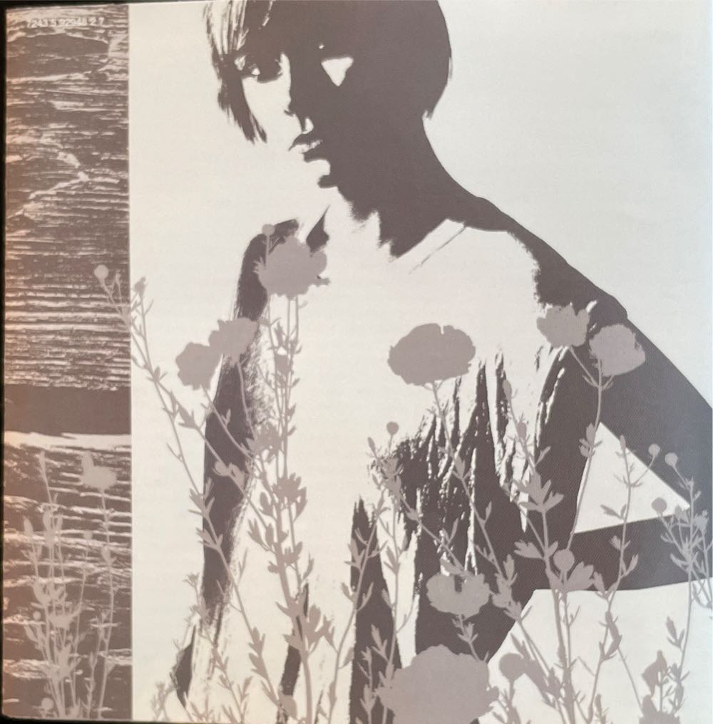 Identity crisis - ShelLynne (MP3) music collectible [Barcode 724359294827] - Main Image 3