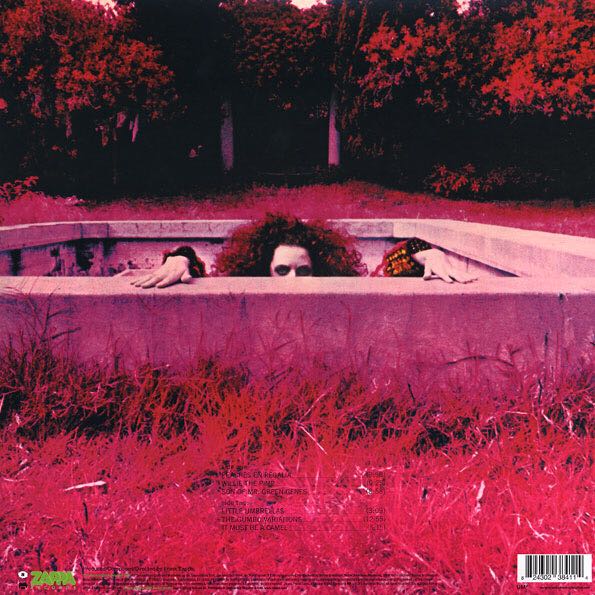 Hot Rats - Zappa, Frank (12” - 43) music collectible [Barcode 824302384114] - Main Image 2