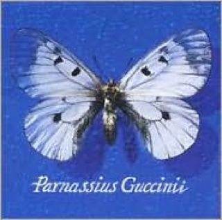 Fatbeats Compilation Volume One