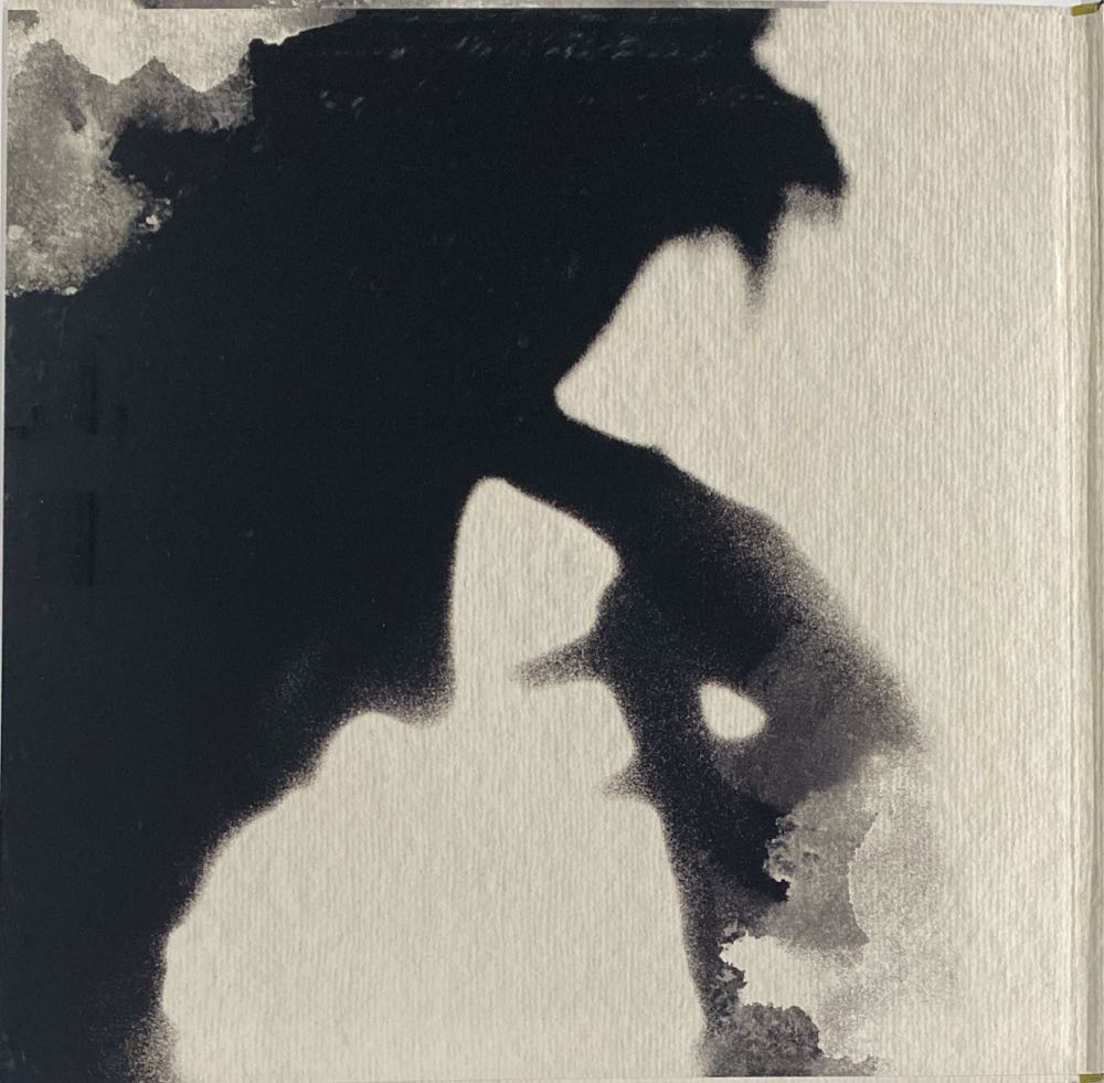 Ingenue - 25th Anniversary Edition - Lang, K.D. (12” - 68) music collectible [Barcode 075597938517] - Main Image 3