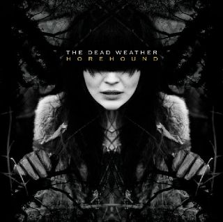 For The Beauty Of Confusion