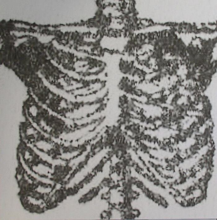 Vol. 2 - Wooden Shjips (12” - 43) music collectible [Barcode 655035005713] - Main Image 2